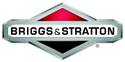 Logo_Briggs_and_stratton